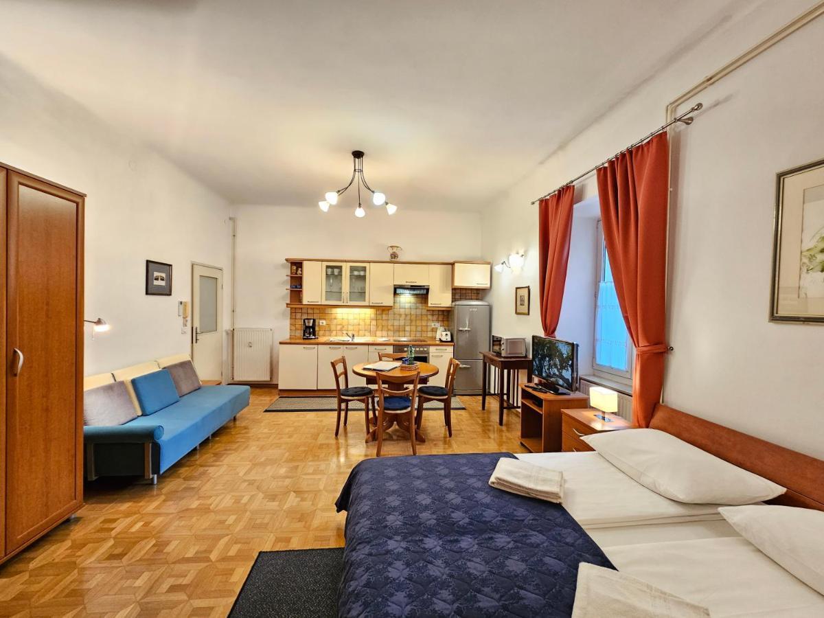Spacious Central Studio Nika 2 Tour As Любляна Екстериор снимка