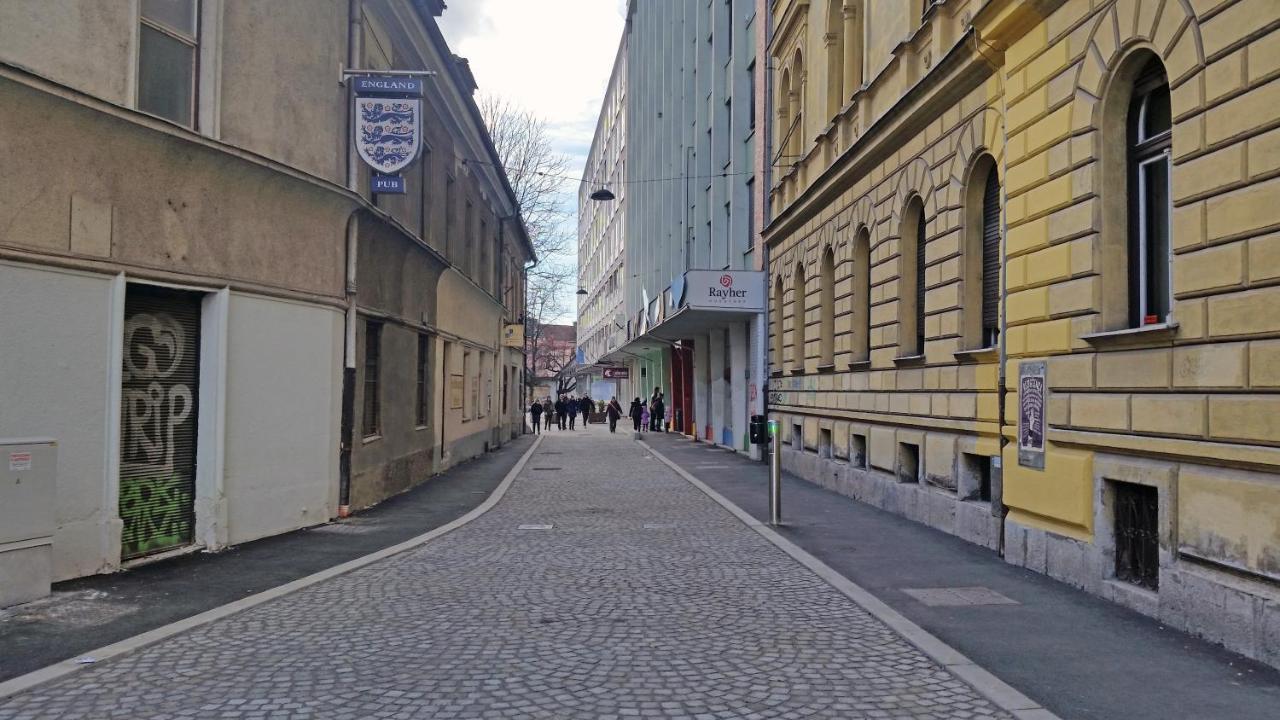 Spacious Central Studio Nika 2 Tour As Любляна Екстериор снимка
