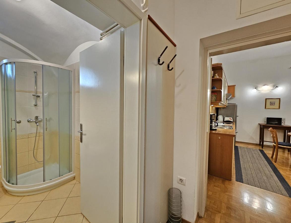 Spacious Central Studio Nika 2 Tour As Любляна Екстериор снимка