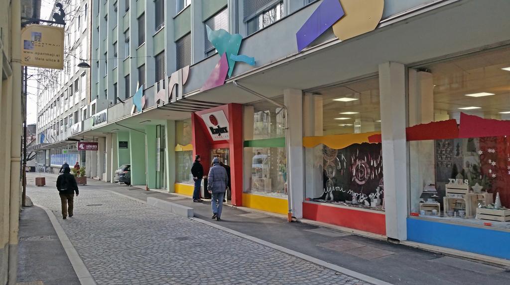 Spacious Central Studio Nika 2 Tour As Любляна Екстериор снимка